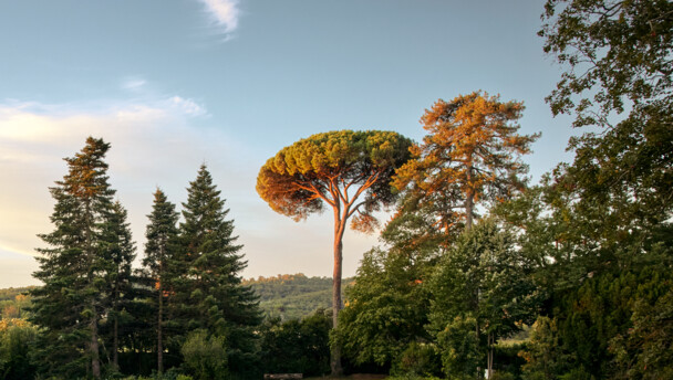 Chateau_de_Montcaud_0002